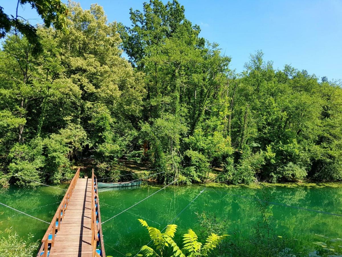 Riverland Gornji Zvecaj Ngoại thất bức ảnh